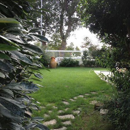 Villa Gioia Rooms Montegranaro Exteriör bild