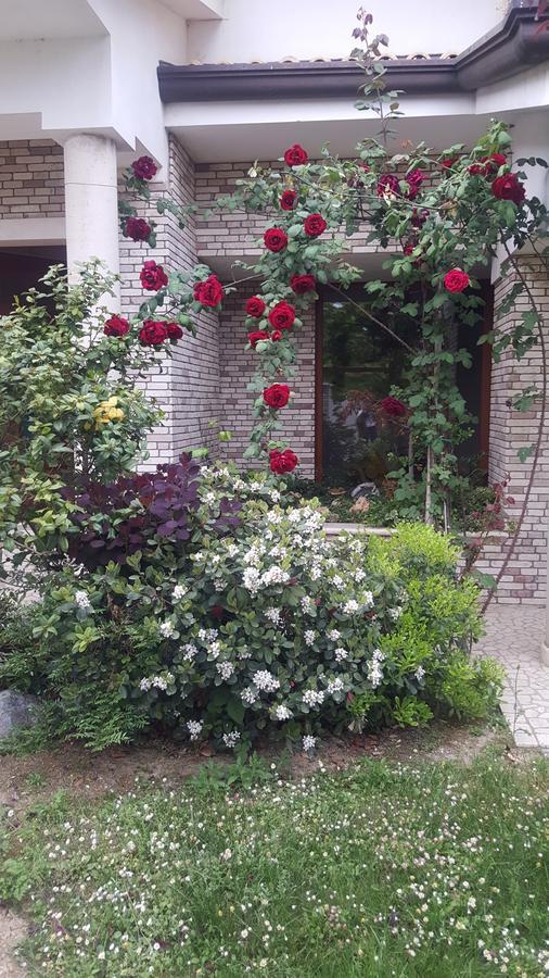Villa Gioia Rooms Montegranaro Exteriör bild