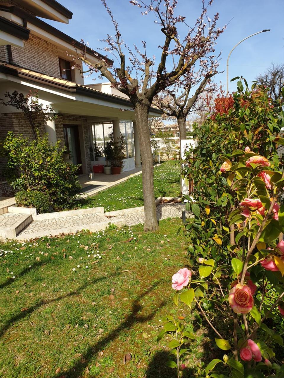 Villa Gioia Rooms Montegranaro Exteriör bild